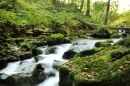 Cachoeiras Caldbeck, Cumbria, Inglaterra