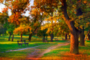 Cores de Outono no Parque