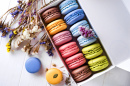 French Macaroon Cake. Macaroons In Box With Dried Flowers On White Background Flat Lay