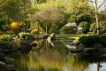 Jardins Kyoto, Londres