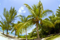 Ilha de Grand Cayman