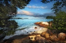 Chek Jawa, Cingapura