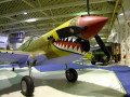 Curtiss P-40
