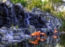 Cachoeira de Flamingos