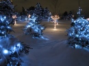 Luzes de Natal no Parque Chinguacousy