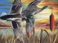 Concurso de Arte Duck Stamp