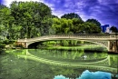 Ponte Bow, Central Park, NYC