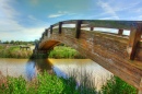 Ponte Moonbridge, Martinez Shoreline