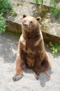 Parque dos Ursos em Bern