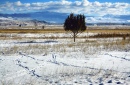 Inverno em Montana