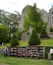 Livros e Castelo