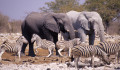 Parque Nacional Etosha, Namíbia