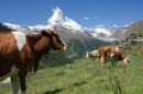 Matterhorns na Suíça
