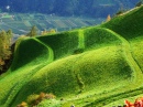 O Pasto é Sempre Mais Verde no Südtirol