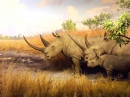 Rinocerontes Acolchoados