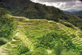 Terraços de arroz Banaue