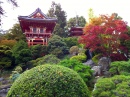 Jardim de Chás Japonês