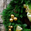 Sorriso Verde Só Para Você