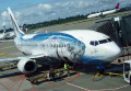 Alaska Airlines' Salmão Selvagem do Alasca 737