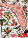 Flórida, O Estado Pantanoso