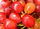 Uvas