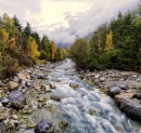 Córrego da Montanha no Outono