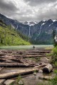 Lago Avalanche, Parque Nacional Glacier