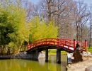 Ponte Japonesa, Jardim Botânico de Memphis