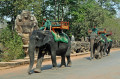 Taxi de Angkor Thom, Camboja