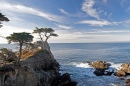 Lone Cypress, Monterey, Califórnia