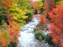 Outono em Harris Creek, Ontário