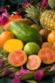 Frutas Tropicais