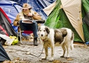 Cachorro se Queixando no Occupy LSX