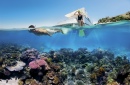 Mergulho Livre na Grande Barreira de Coral