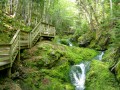 Trilha de Caminhada na Cachoeira de Dickson, Parque Nacional Fundy, Canadá