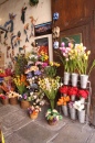 Loja de Flores em Guanajuato, México