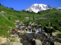 Parque Nacional do Monte Rainier