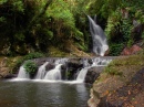 Cachoeira Elabana, Floresta Tropical Australiana