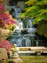 Cachoeira do Jardim de Quioto