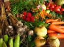 Verduras Ecologicamente Cultivadas