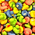 Patos de Borracha