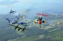 A-10, F-86, P-38 & P-51 Formação Patrimonial