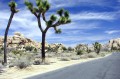 Parque Nacional Joshua Tree