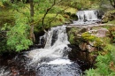 Pequena Cachoeira em Talybont, País de Gales