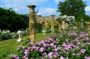 Jardins de Rosas do Castelo de Hever, Inglaterra