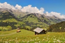 Berner Oberland no Verão