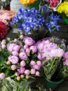 Loja de Flores em Katonah, Nova Iorque