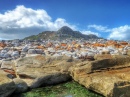 Perto de Cape Town, África do Sul