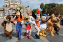 Show da Banda do Castelo da Disney