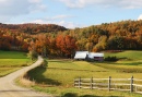 Fazenda Jenne em Reading, Vermont